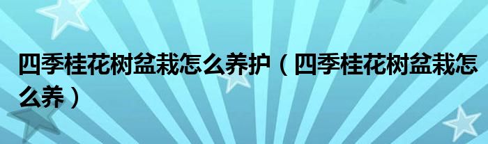 四季桂花树盆栽怎么养护（四季桂花树盆栽怎么养）