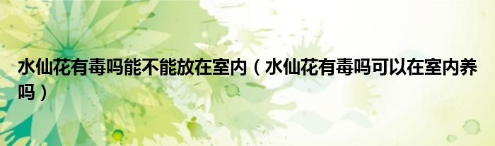 水仙花有毒吗能不能放在室内（水仙花有毒吗可以在室内养吗）