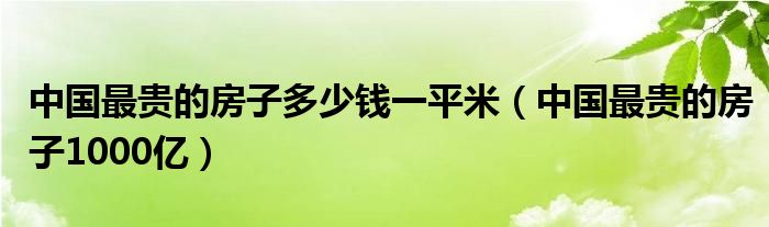 中国最贵的房子多少钱一平米（中国最贵的房子1000亿）