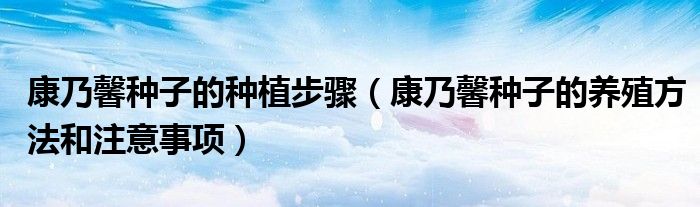 康乃馨种子的种植步骤（康乃馨种子的养殖方法和注意事项）