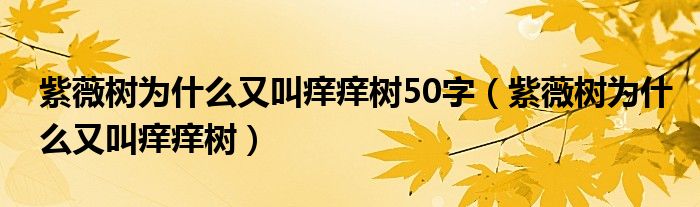 紫薇树为什么又叫痒痒树50字（紫薇树为什么又叫痒痒树）