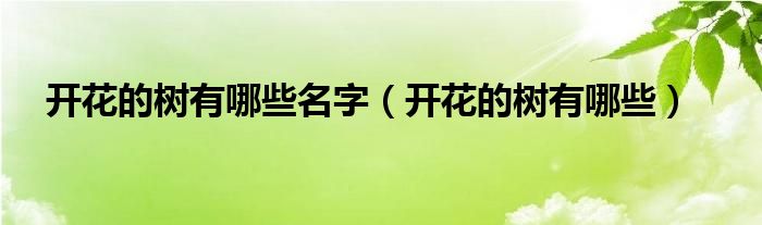 开花的树有哪些名字（开花的树有哪些）