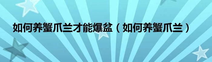 如何养蟹爪兰才能爆盆（如何养蟹爪兰）