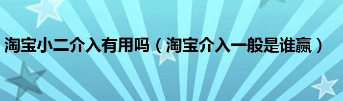 淘宝小二介入有用吗（淘宝介入一般是谁赢）