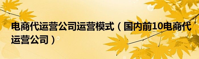 电商代运营公司运营模式（国内前10电商代运营公司）