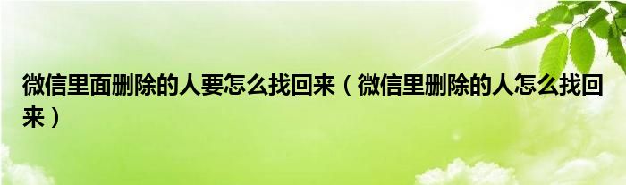 微信里面删除的人要怎么找回来（微信里删除的人怎么找回来）