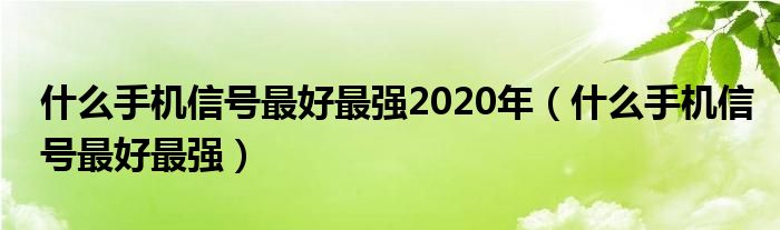 什么手机信号最好最强2020年（什么手机信号最好最强）