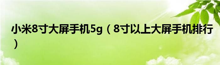 小米8寸大屏手机5g（8寸以上大屏手机排行）