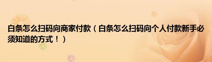 白条怎么扫码向商家付款（白条怎么扫码向个人付款新手必须知道的方式！）