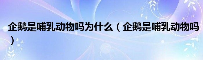 企鹅是哺乳动物吗为什么（企鹅是哺乳动物吗）