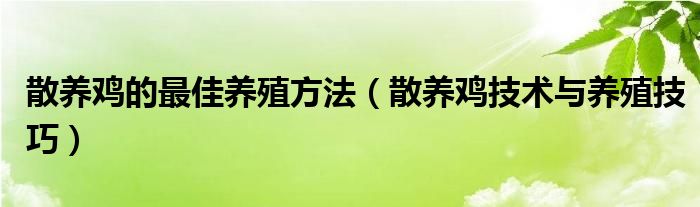 散养鸡的最佳养殖方法（散养鸡技术与养殖技巧）