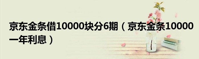 京东金条借10000块分6期（京东金条10000一年利息）