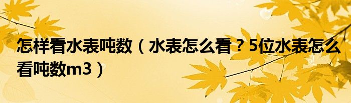 怎样看水表吨数（水表怎么看？5位水表怎么看吨数m3）