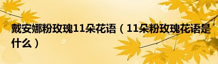 戴安娜粉玫瑰11朵花语（11朵粉玫瑰花语是什么）