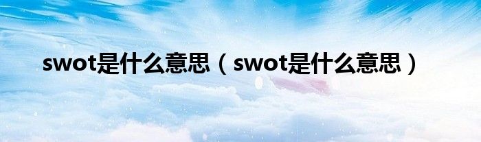 swot是什么意思（swot是什么意思）