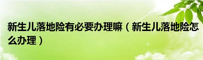 新生儿落地险有必要办理嘛（新生儿落地险怎么办理）