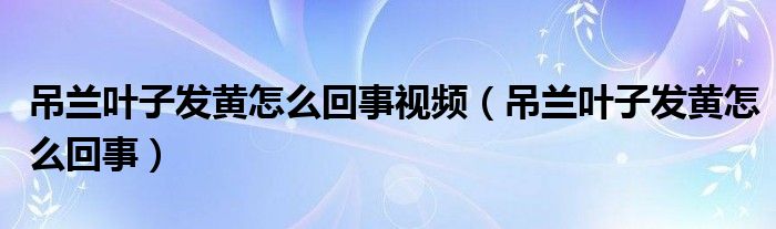 吊兰叶子发黄怎么回事视频（吊兰叶子发黄怎么回事）