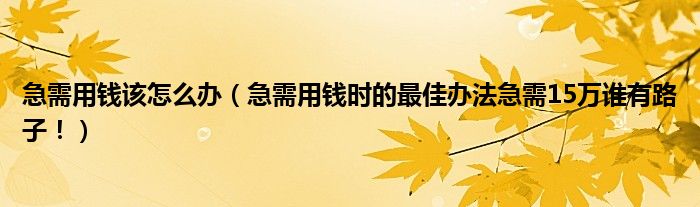 急需用钱该怎么办（急需用钱时的最佳办法急需15万谁有路子！）