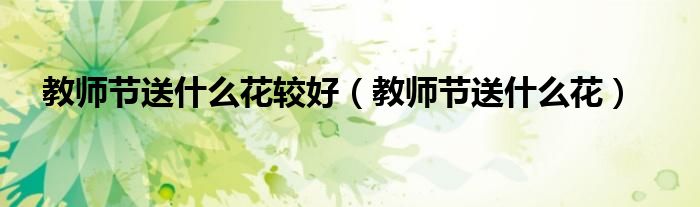 教师节送什么花较好（教师节送什么花）