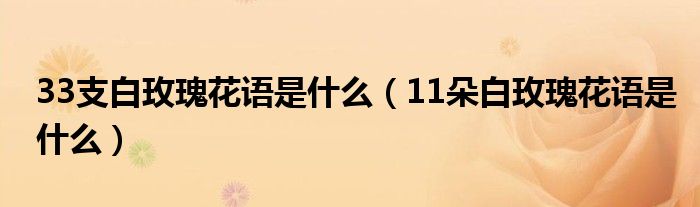 33支白玫瑰花语是什么（11朵白玫瑰花语是什么）