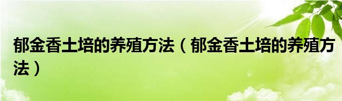 郁金香土培的养殖方法（郁金香土培的养殖方法）