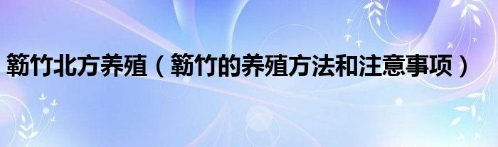 簕竹北方养殖（簕竹的养殖方法和注意事项）