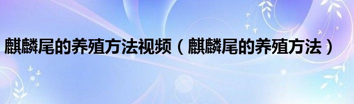 麒麟尾的养殖方法视频（麒麟尾的养殖方法）