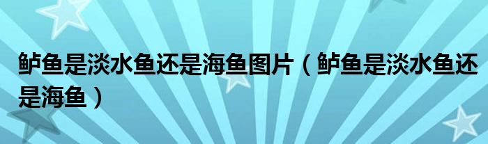 鲈鱼是淡水鱼还是海鱼图片（鲈鱼是淡水鱼还是海鱼）