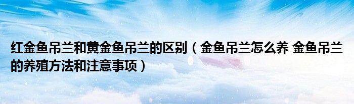 红金鱼吊兰和黄金鱼吊兰的区别（金鱼吊兰怎么养 金鱼吊兰的养殖方法和注意事项）