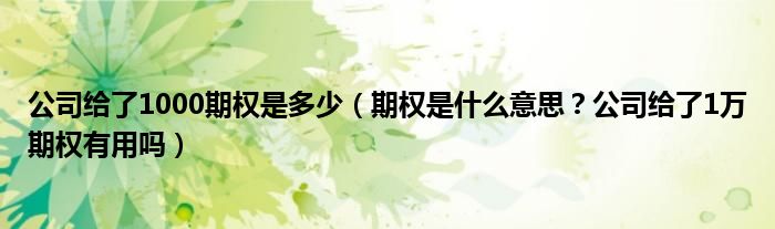 公司给了1000期权是多少（期权是什么意思？公司给了1万期权有用吗）