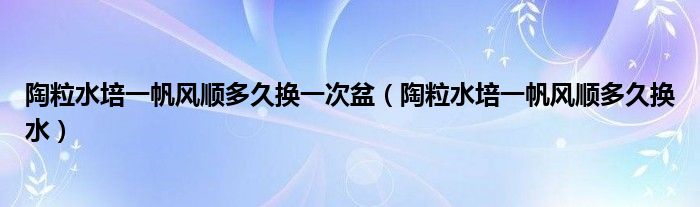 陶粒水培一帆风顺多久换一次盆（陶粒水培一帆风顺多久换水）