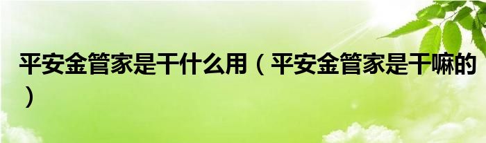 平安金管家是干什么用（平安金管家是干嘛的）