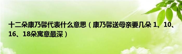 十二朵康乃馨代表什么意思（康乃馨送母亲要几朵 1、10、16、18朵寓意最深）