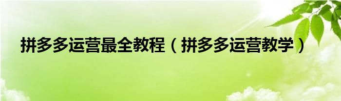 拼多多运营最全教程（拼多多运营教学）