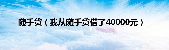 随手贷（我从随手贷借了40000元）