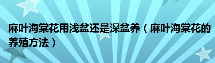 麻叶海棠花用浅盆还是深盆养（麻叶海棠花的养殖方法）