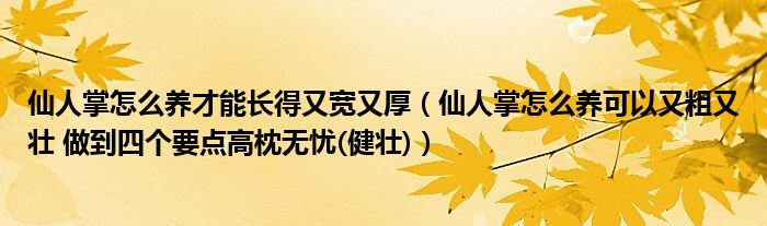 仙人掌怎么养才能长得又宽又厚（仙人掌怎么养可以又粗又壮 做到四个要点高枕无忧(健壮)）