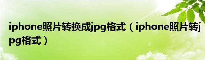 iphone照片转换成jpg格式（iphone照片转jpg格式）