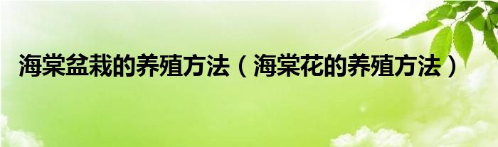 海棠盆栽的养殖方法（海棠花的养殖方法）