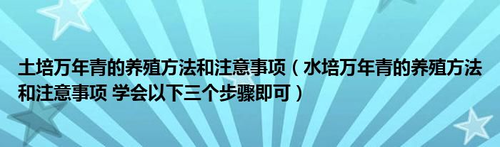 土培万年青的养殖方法和注意事项（水培万年青的养殖方法和注意事项 学会以下三个步骤即可）