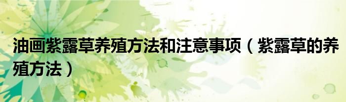 油画紫露草养殖方法和注意事项（紫露草的养殖方法）