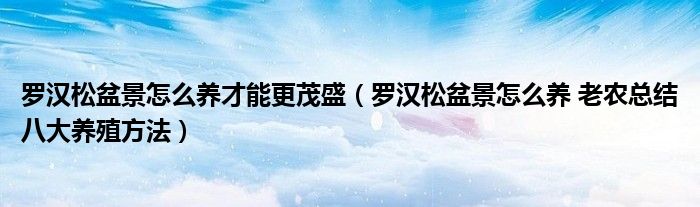 罗汉松盆景怎么养才能更茂盛（罗汉松盆景怎么养 老农总结八大养殖方法）