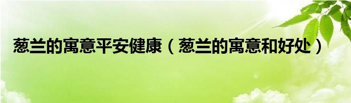 葱兰的寓意平安健康（葱兰的寓意和好处）