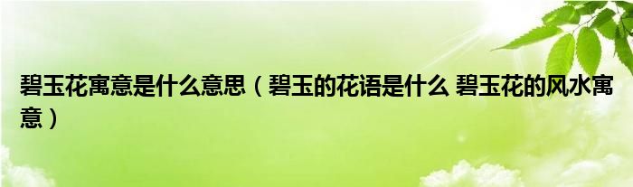 碧玉花寓意是什么意思（碧玉的花语是什么 碧玉花的风水寓意）