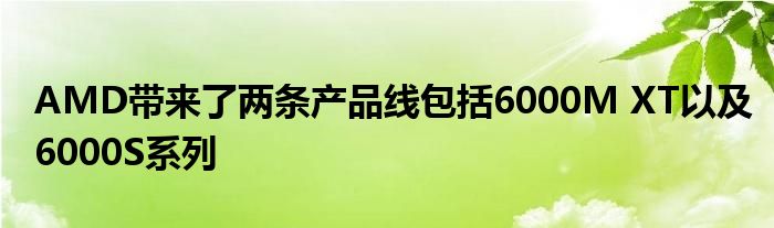 AMD带来了两条产品线包括6000M XT以及6000S系列