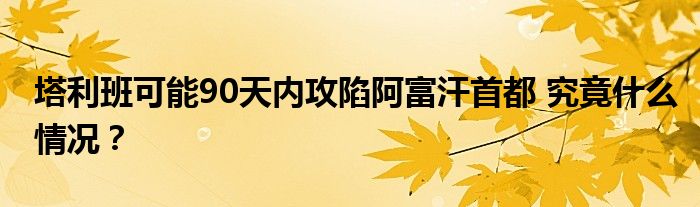 塔利班可能90天内攻陷阿富汗首都 究竟什么情况？