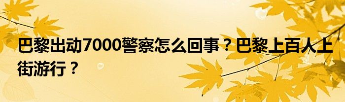 巴黎出动7000警察怎么回事？巴黎上百人上街游行？