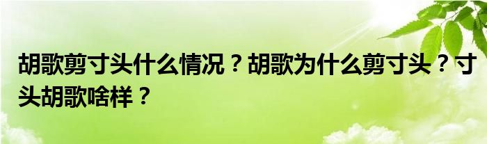 胡歌剪寸头什么情况？胡歌为什么剪寸头？寸头胡歌啥样？