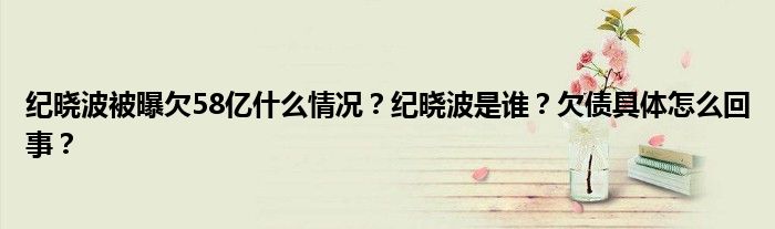 纪晓波被曝欠58亿什么情况？纪晓波是谁？欠债具体怎么回事？