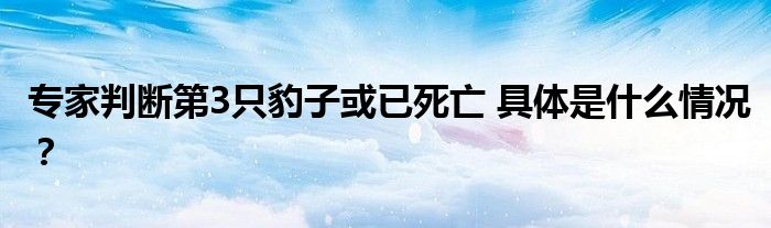 专家判断第3只豹子或已死亡 具体是什么情况？